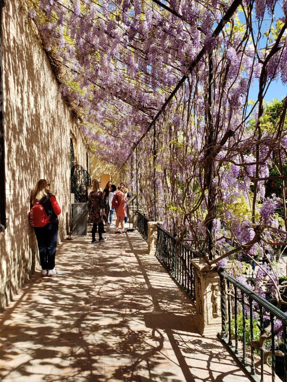 Apartamento Jardin de Santa Paula Sevilla Bagian luar foto